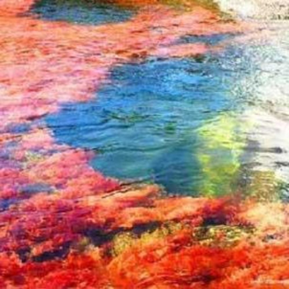 Meet your Posher, Natasha